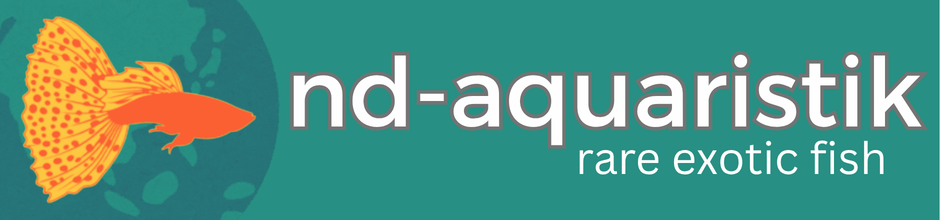 nd-aquaristik.de
